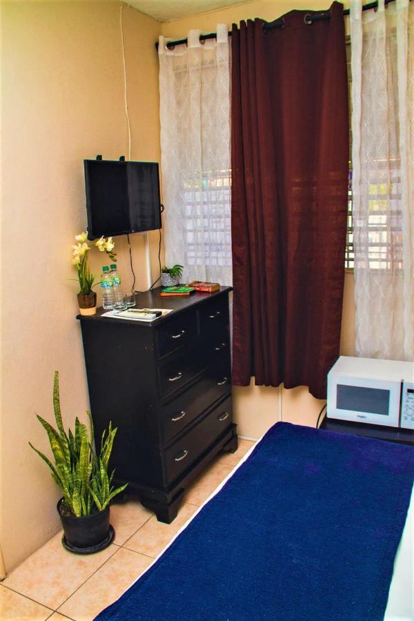Eventuality B&B New คิงส์ตัน ภายนอก รูปภาพ